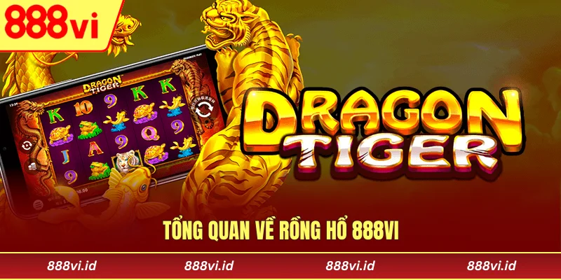 Tổng quan về Rồng Hổ 888vi